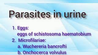 Urine parasites [upl. by Reisman]