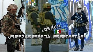 ¿Quiénes son los FER del Ejército Mexicano [upl. by Hunley]