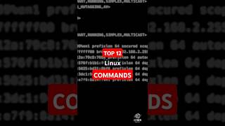 12 MustKnow Linux Networking Commandslinuxcommands linux cybersecurity [upl. by Krik]