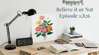 Ripleys Believe it or Not  Episode 1826  Ripley’s Rarities 7 [upl. by Ynnus]