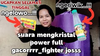 TERLALU MUDAH BIKIN EMOSI burung murai FIGHTER Gacorrrr VOLUME naik bongkar isian [upl. by Dovev]