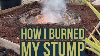 36’’ Stump Removal  Complete Burn 🔥 No gas or oil [upl. by Aynotan439]