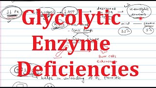 6 Glycolytic Enzyme Deficiency  PK deficiency  Glucokinase deficiency  Aldolase  PFK1 [upl. by Rodman]