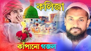 পীরজাদা জুনায়েদ সিদ্দিকী✓উর্দু গজল✓কলিজা কাঁপানো গজল✓pirjada Junaid Siddiqui bhai jaan Gojol [upl. by Bein256]