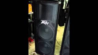 Peavey PV215 Review [upl. by Suiratnod]