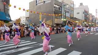 Last Night of AwaOdori in Tokushima [upl. by Vipul]