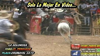 SE PASA A ESCAPAR EL TORO PERDIGON DE LA DOLOROSA EN LA CORRIDA DE PROMESAS DE CHUMAYELYUCATAN 2019 [upl. by Brill]