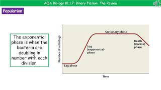 AQA Biology B117  Binary Fission Foundation [upl. by Glassco554]