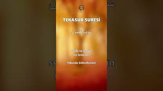 Tekasur Suresi [upl. by Janis13]