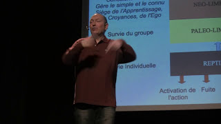 7  Conférence Transurfing en Français par Olivier Masselot  lintention externe [upl. by Newcomer]