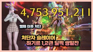 Lost Ark 처단자 상향 이후 하기르 12관 올밑잔 [upl. by Gibbs]