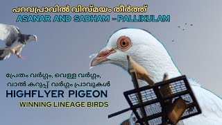 തുടർച്ചയായി Price ഉള്ള ഒരു അടിപൊളി Lotf  SADHAM and ASANAR PALLIKULAM PALAKKAD [upl. by Camey]