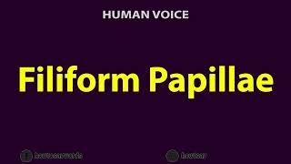 How To Pronounce Filiform Papillae [upl. by Anglo]