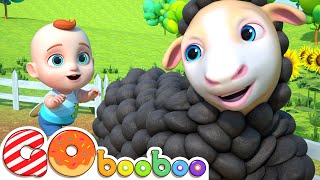 Baa Baa Black Sheep  Sheep Song for Kids amp More Nursery Rhymes [upl. by Inaboy]