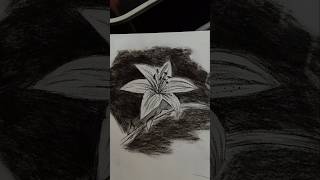 Easy flower shading for beginners song sketch drawing shorts shikha drawing [upl. by Hedelman]