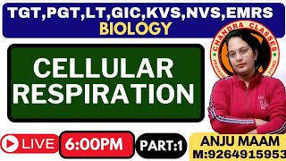 CELLULAR RESPIRATION  INTRODUCTION  BY ANJU MAM [upl. by Yanttirb]