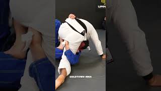 BJJ Passing x Lucas Lepri 🥋 [upl. by Giefer]