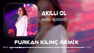 Ebru Gündeş  Akıllı Ol  Furkan Kılınç Remix [upl. by Etsirhc]