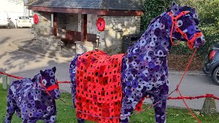 Remembrance Day display at Crantock village Cornwall  dji action 4 [upl. by Tnilc]