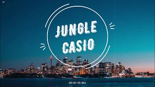 Jungle  Casio Lyrics [upl. by Aggappera424]