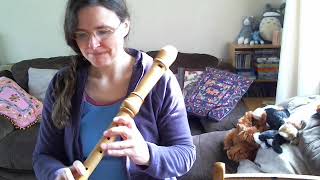 Tenor Recorder vs Alto Recorder vs Soprano Recorder [upl. by Attaynik]