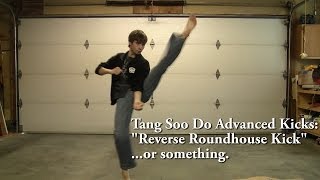 Tang Soo Do Advanced Kicks Reverse Roundhouse Kick Tutorial [upl. by Barclay]