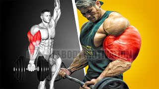 6 Best Bicep and Tricep Exercises at Gym for Bigger Arms [upl. by Atiz]