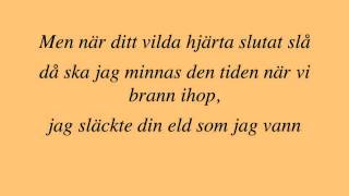 Stiftelsen  Vildhjärta lyrics [upl. by Elson]