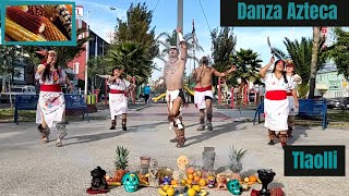 Tlaolli  Danza Azteca [upl. by Annavas673]