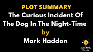 Plot Summary Of The Curious Incident Of The Dog In The NightTime By Mark Haddon [upl. by Sabas]