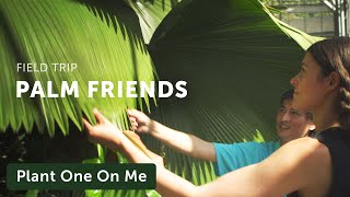 Queen Sirikit Botanic Garden Tropical Rainforest Greenhouse Tour — Plant One On Me — Ep 136 [upl. by Curren]