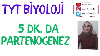 Partenogenez TYT BİYOLOJİ BURADAN SORU GELEBİLİR tyt [upl. by Sucrad]