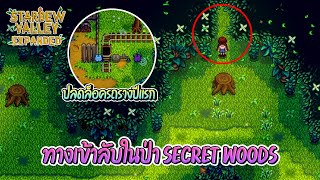 Stardew Valley Expanded  ทางเข้าลับในป่า Secret Woods และปลดล็อครถรางในปีแรก EP8 [upl. by Ettigirb]