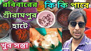 Serampore Aquarium Fish Market  Aquarium Fish Price Update  Serampore Fish Pet Market  Pet Market [upl. by Ardnalac119]