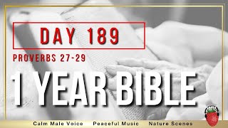 Day 189  Proverbs 27  29  Audio Bible  NIV [upl. by Schmidt]