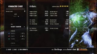 ESO  Shapeshifters Chain Sorc Wolf Gameplay 2 vs 2 [upl. by Einaffets869]