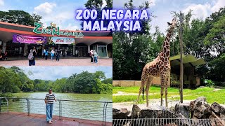 Day Trip To ZOO NEGARA With My Family  ZOO NEGARA MALAYSIA 🦁 zoo zoonegara malaysia [upl. by Maeve]