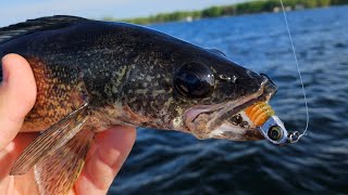 Oneida Lake Fishing Report  tuesday May 14 2024 [upl. by Kassity]