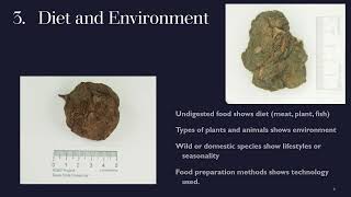 Coprolites Just Got Real  Archaeology Week [upl. by Crissy]