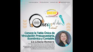 Episodio Nº 6 Conoce la Tabla Única de Vinculación Presupuestaria Económica y Contable [upl. by Soble]