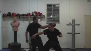 Wu Xing Dao Kung Fu Master Tech Demo 1  Internal gong fu martial qigong speed gut punching [upl. by Elvira]