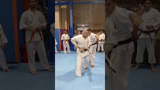 Ushirogeriehsanashtari martialarts kyokushinkarate shidokan renshiashtari ushirogeri [upl. by Atinot]