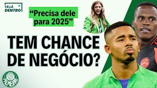 PALMEIRAS MIRA REFORÇOS PARA 2025 E VAI ABRIR CONTATOS EM BREVE  VEJA A SITUAÇÃO DOS ALVOS [upl. by Ahsiya]