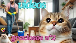 Los MEJORES VIDEOS de GATOS graciosos parte N°2  ¡NO PODRÁS DEJAR DE REIR 😁🙀😼 FUNNY KITTENS [upl. by Webb]