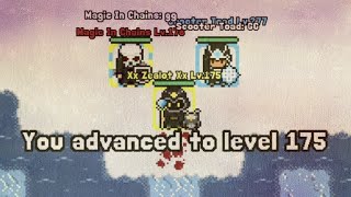 Rucoy Online Zealot advanced to lvl 175 [upl. by Bisset141]