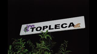 Topleca [upl. by Namor]