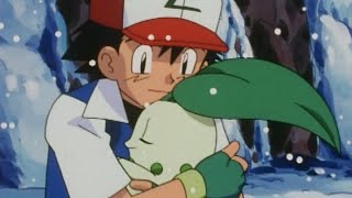 ¡Chikorita  Pokémon Los Viajes de Johto  Clip oficial [upl. by Ib928]