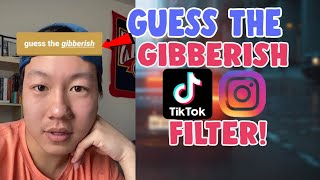 How To Get Guess The Gibberish Filter On Instagram and Tiktok  Guess The Gibberish Instagram Filter [upl. by Yate]