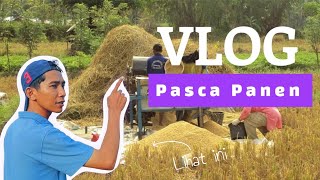 VLOG PEMANDANGAN PASCA PANEN [upl. by Nahaj803]