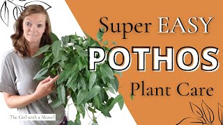 Pothos Plant Care  Fertilizer Yellow Leaves amp MORE With Free Guide [upl. by Leihcar748]